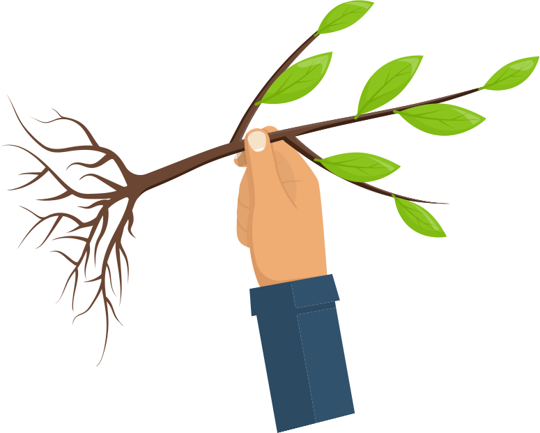 Landscaping Services In Denver Co, Lawn Care Services - Dallas Web Design (775x621)