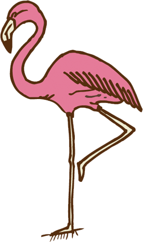 Flamingo - Flamingo (283x479)