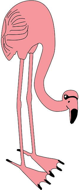 Flamingos - Custom Pink Flamingo Sticker (320x640)