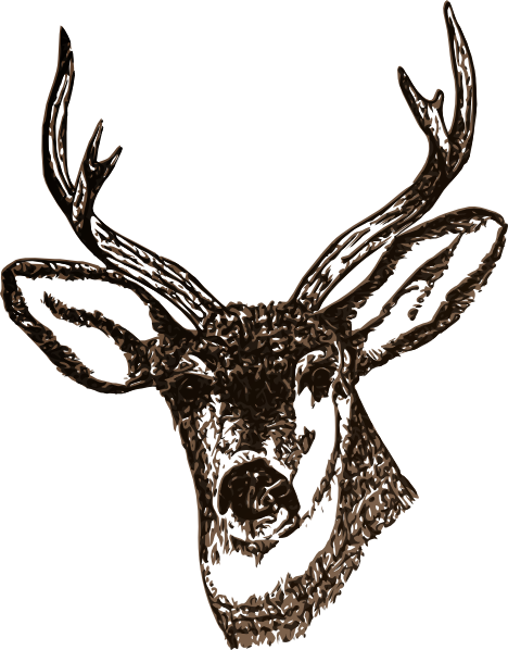 Deer Svg Clip Arts 468 X 598 Px - Free Images Of Deer (468x598)