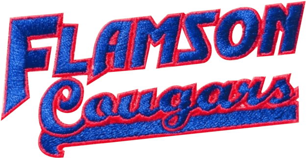 The Appeal Of Custom Digitizing In Usa Aqua Digitizing - Graphic Design (1024x758)