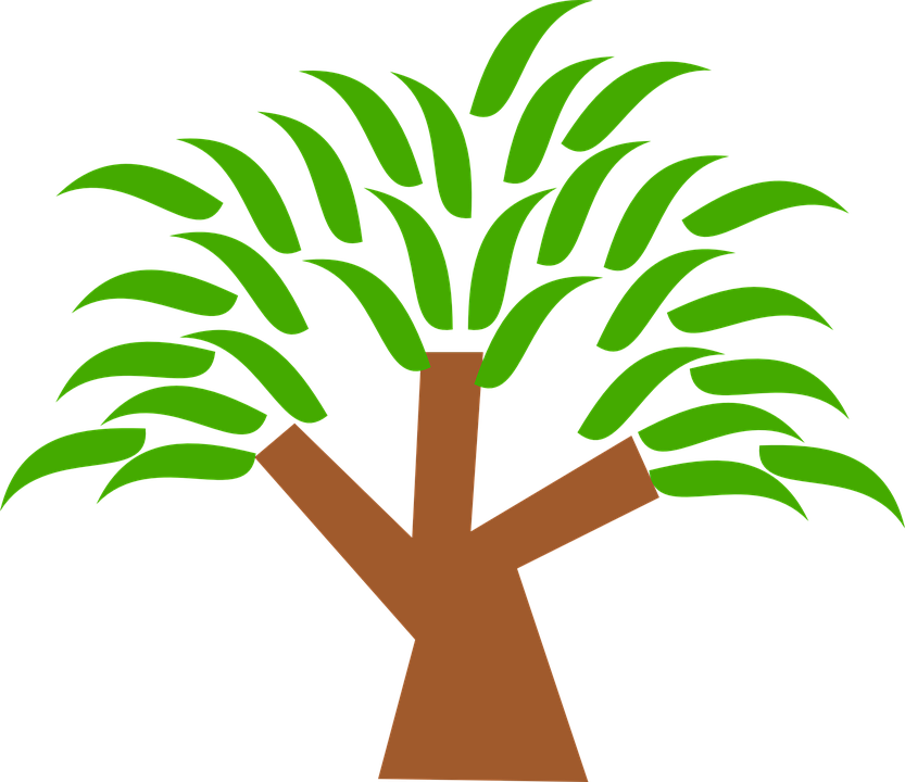 Palm Leaves Clipart 18, Buy Clip Art - Trees Clipart (869x750)