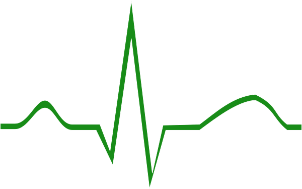 Green Ecg Png (600x375)