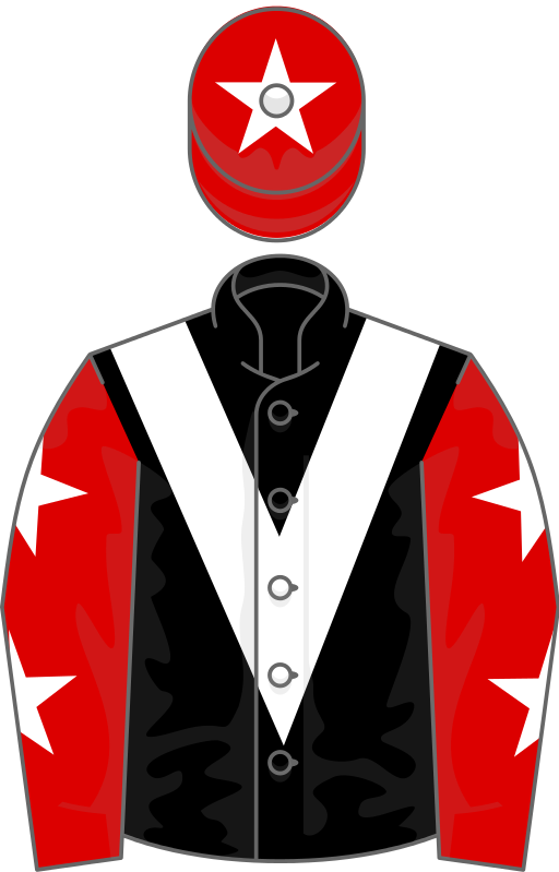 Owner Mr V I Araci - Tiger Roll (512x799)