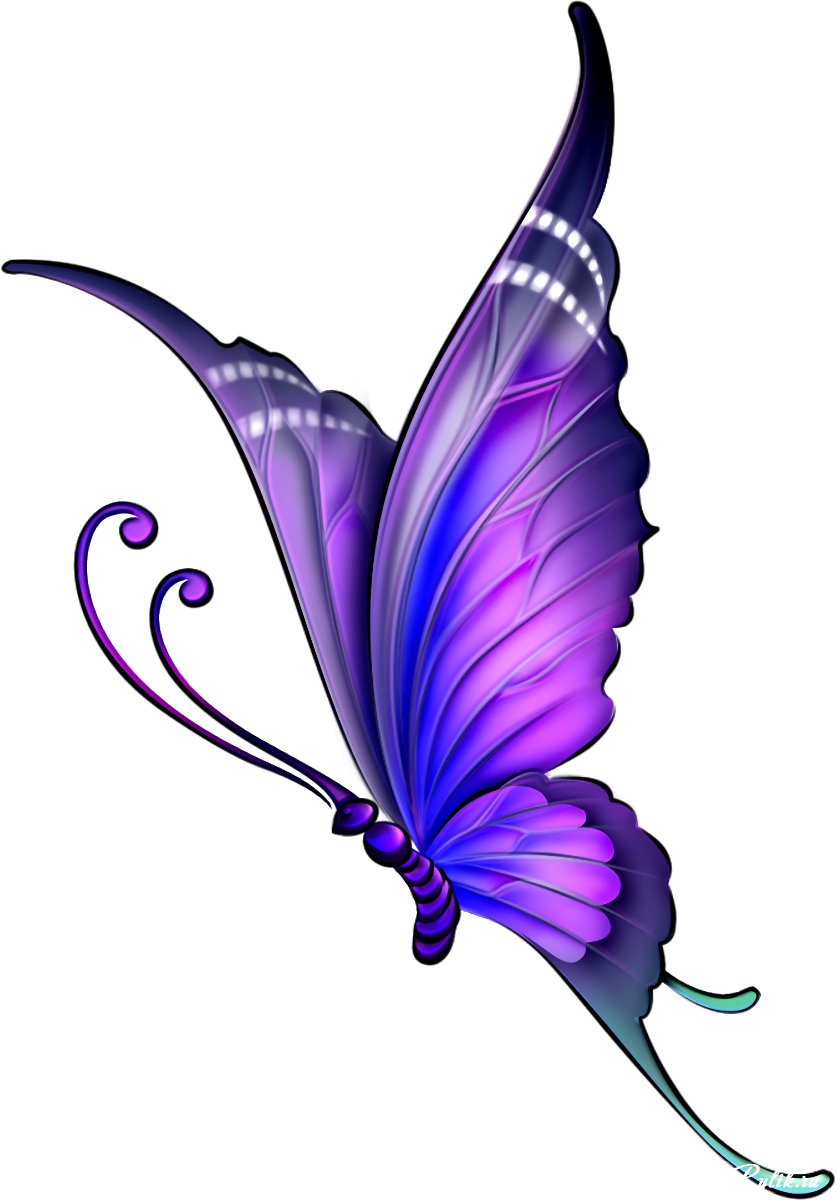 Butterfly Drawing Color Clip Art - Butterfly Image Drawing With Color (837x1200)