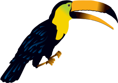 Toucan Bird Png Clipart Picture - Jungle Animal Clip Art (400x305)