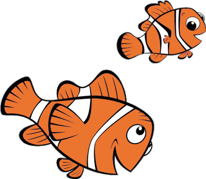 Ms De 25 Ideas Incre Bles Sobre Gaviotas De Buscando - Nemo (420x372)