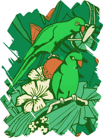 Gebrouwen Door Vrouwen Nieuw (489x651)