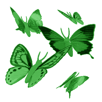 Magia Verde - Animasi Kupu Kupu Terbang (350x350)