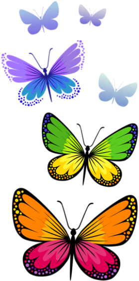 Borboletas Borboleta Bonita Colorida 2 Png - Butterfly Clipart Png (315x619)