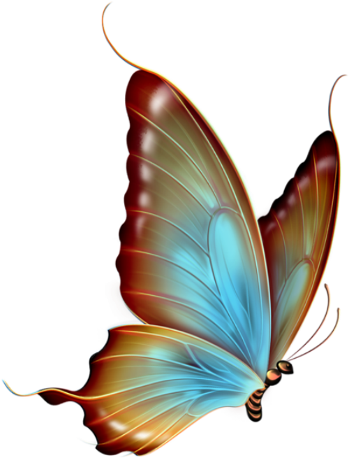 Borboletas Borboleta Realista Azul 2 Png - Butterfly Clip Art Transparent (521x667)