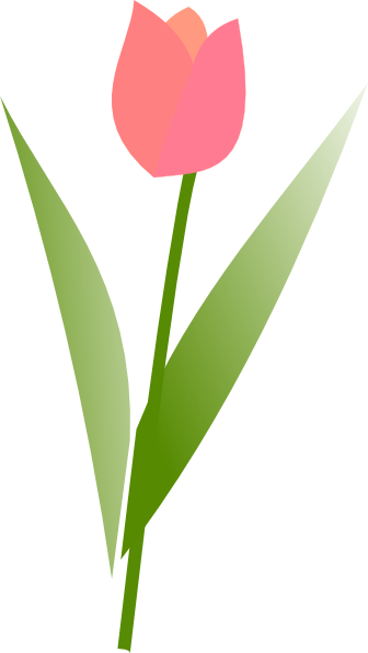 Tulip Clip Art - Clip Art (336x596)