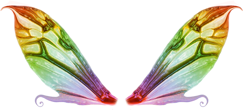 Wagner Tamborin - Fairy Wings (800x364)