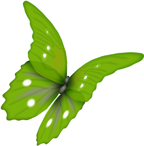 Papillons - Page - Papillon Vert Png (500x522)