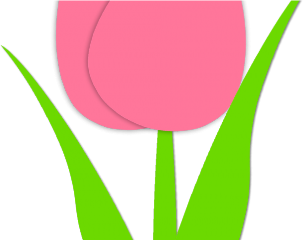 Free Tulip Clipart - Clip Art (640x480)