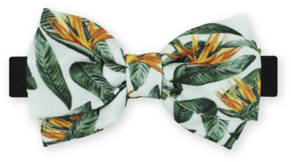 Gravata Borboleta Tropical - Paisley (600x600)