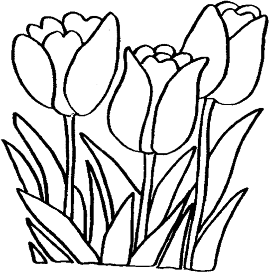 Coloring Page Of Flowers (600x600)