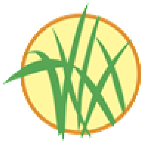 Dobson & Company - Grass (480x480)