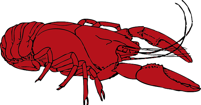 Crustacean Cartoon Stock Photos Crustacean Cartoon - Crayfish Clipart (640x336)