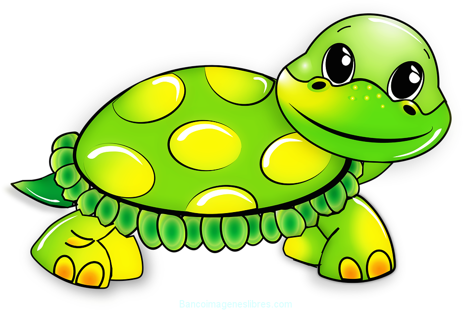 Imagenes Animales Tiernos En Colores - Turtle Slip-on Sneakers (960x649)