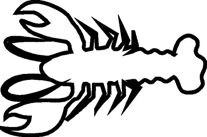 Lobster Outline Sand Scripts - Outline Of Lobster (723x480)