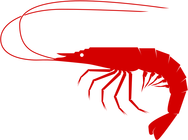 Crustacean Clipart Shrimp - Sea Food Clip Art (800x566)