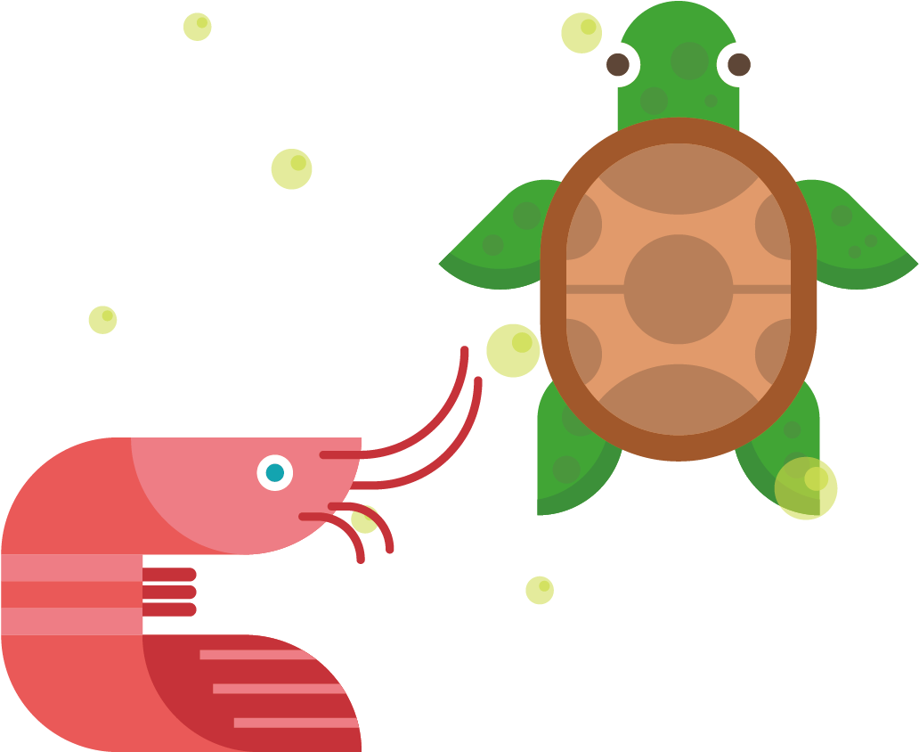 Icon Design Icon - Turtle (1144x1051)