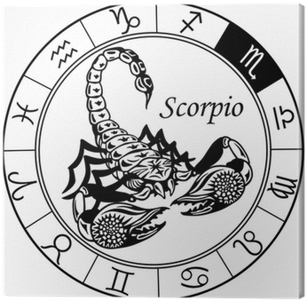 Zodiac Scorpion Drawing (400x400)