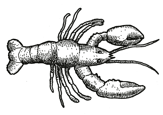 Inside Edition Correspondent Lisa Guerrero Wore A Fitted - Seafood Chalkbard Image Png (550x390)