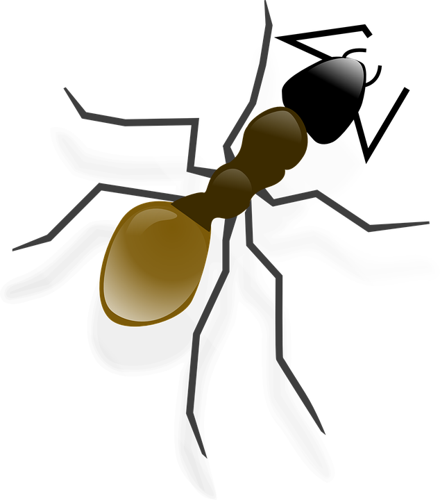 Free Photo Ant Pismire Emmet Hymenopterous Insect Insect - Ant Clip Art (634x720)