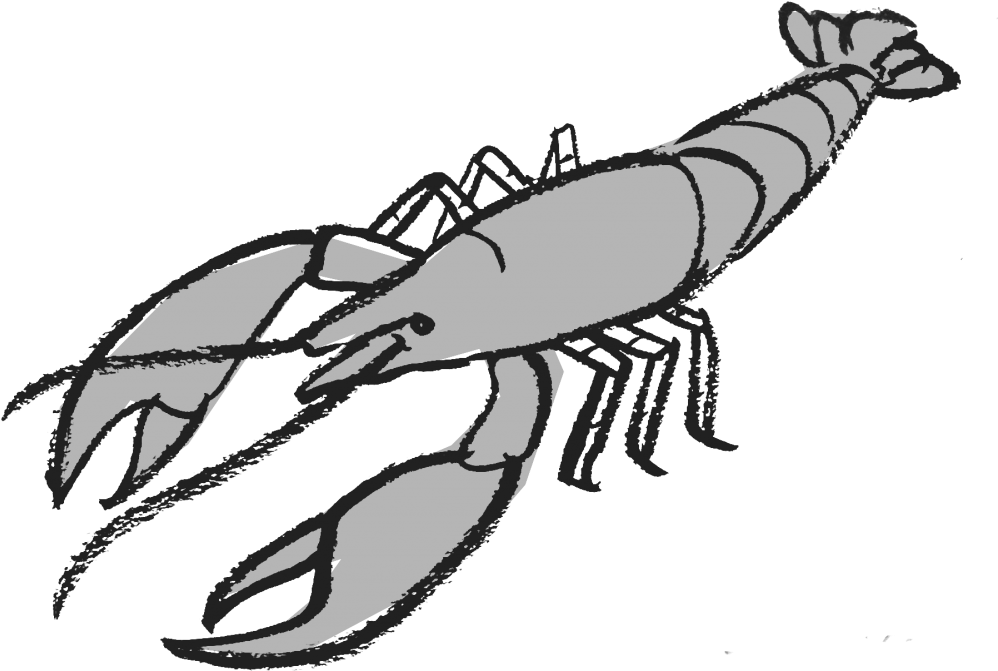 Enoc Escobar Watched Cormorants Glide Inches Above - Enoc Escobar Watched Cormorants Glide Inches Above (1024x670)