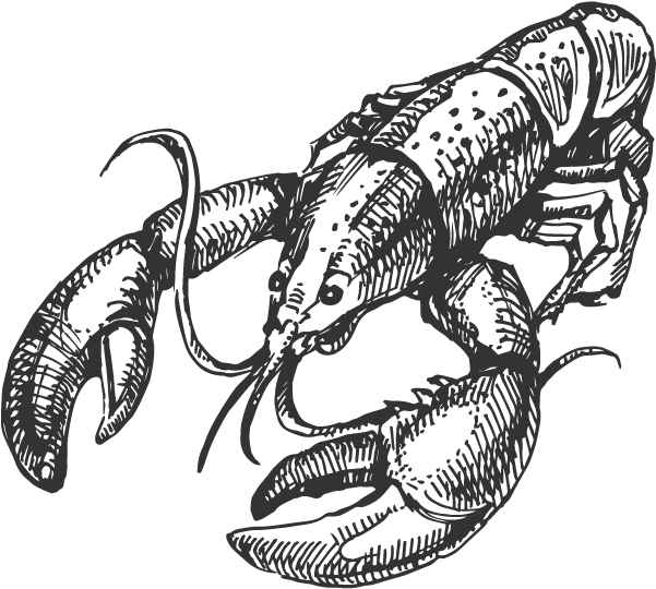 Vector Graphics (601x601)