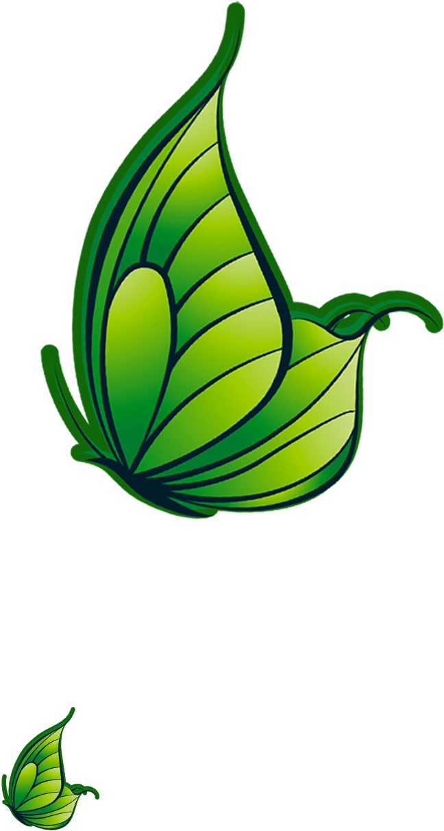 Butterfly Leaf Plant Stem Insect Clip Art - Butterfly Leaf Plant Stem Insect Clip Art (1969x3465)