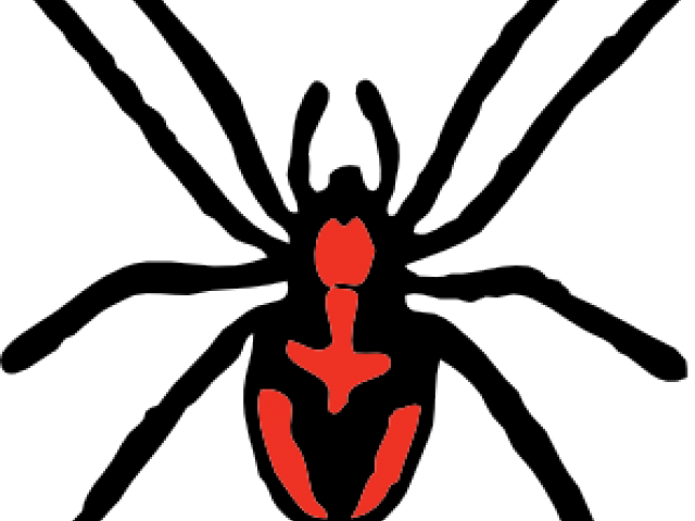 Insect Clipart Spider - Spider Clip Art (640x480)