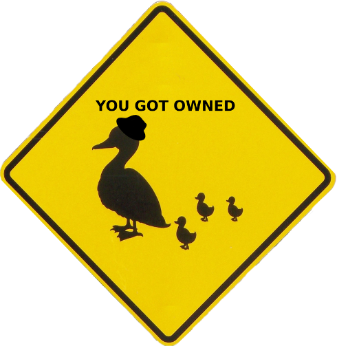 Duck Crack - Roundabout Sign And Circle Drive (490x503)