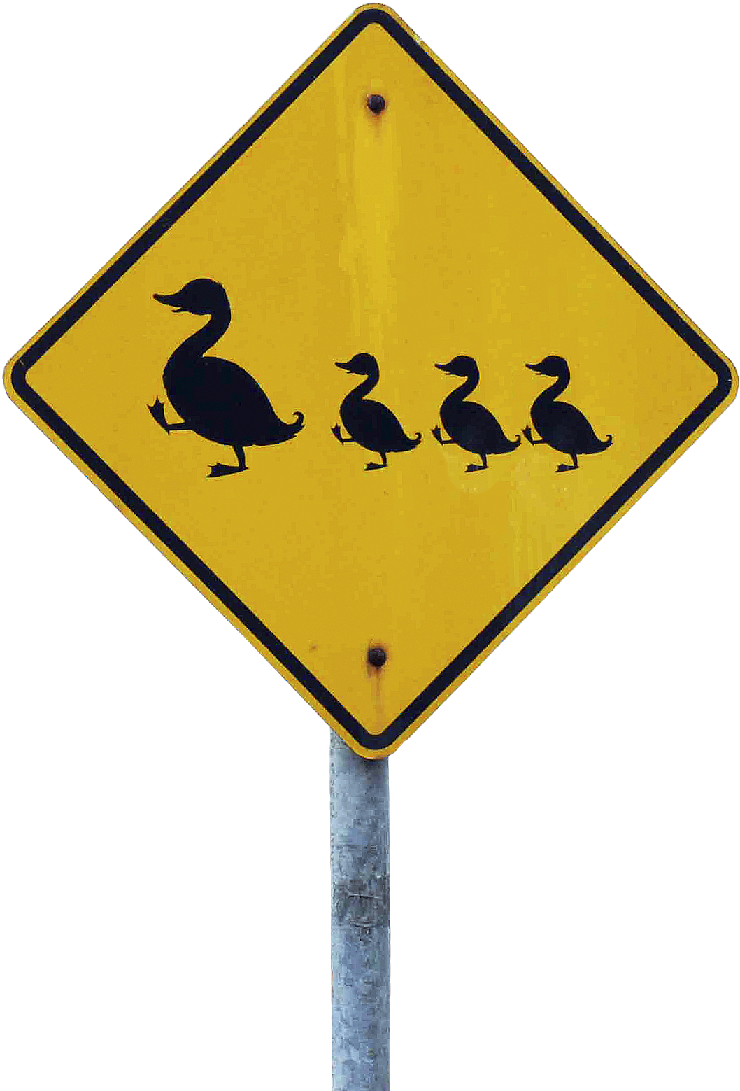 Crossing The Road On The Zebra Crossing Were A Duck - Kangaroo Road Sign (1200x1600)