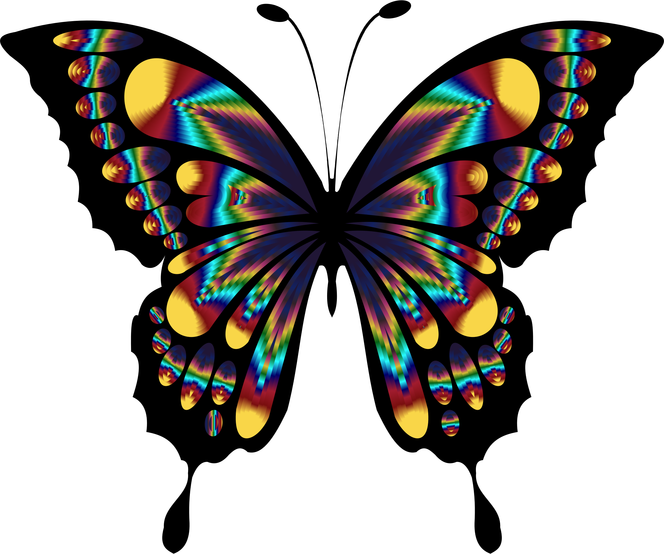 Artist Silhouette Download - Beautiful Butterfly Images Clip Art (2326x1940)