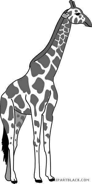 Giraffe Medium Animal Free Black White Clipart Images - Giraffe Iphone 6 Tough Case (300x599)