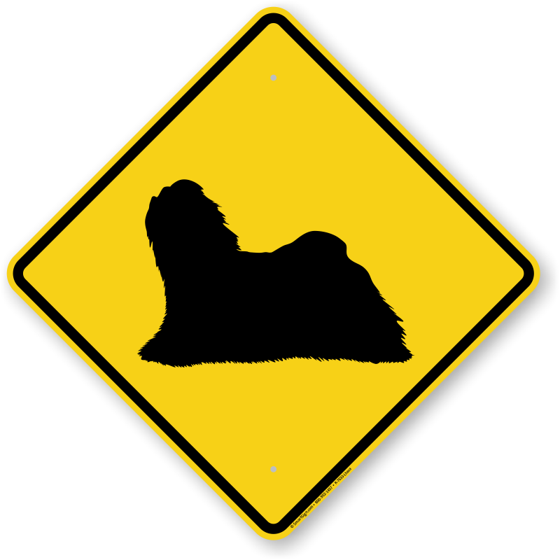 Lhasa Apso Dog Symbol Crossing Sign - Road Sign With Car (800x800)