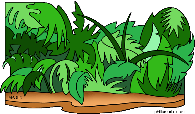 Jungle Clip Art - Jungle Clipart (648x429)