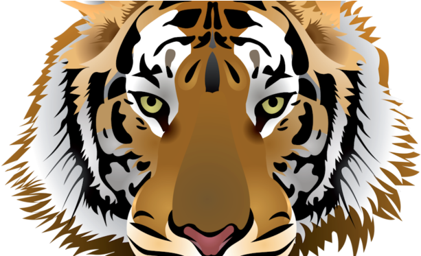 Tiger Face Clipart - Kevin Y Karla Roar (672x372)