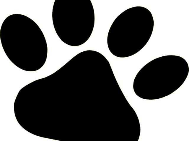 Tiger Paw Clipart - Cat (640x480)