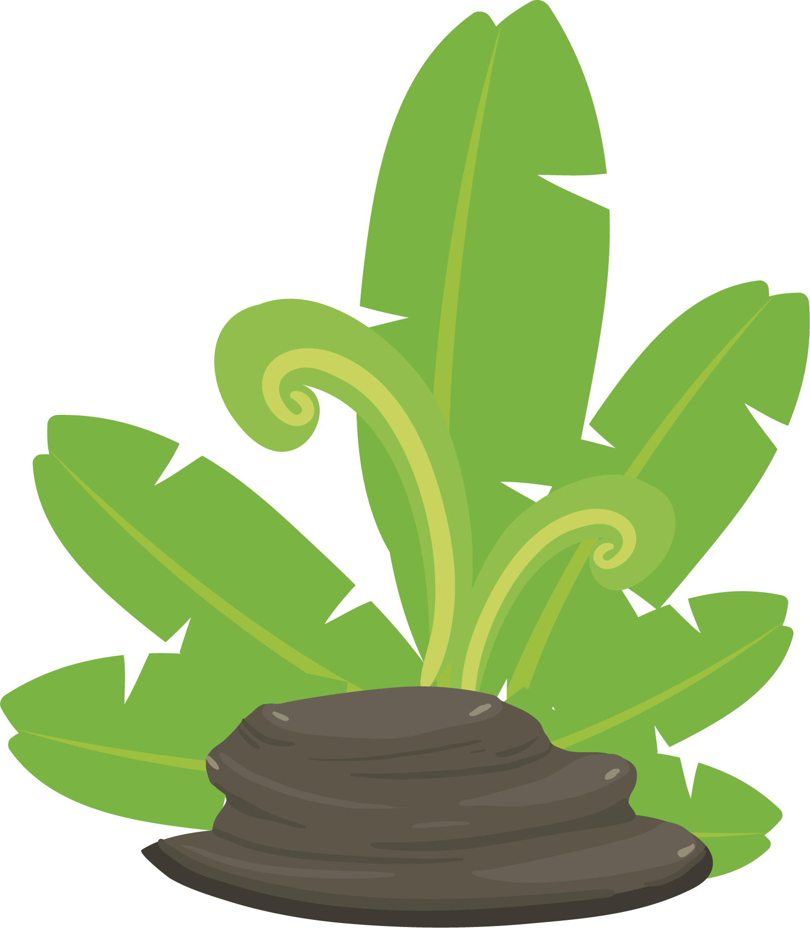 Plant Stone Vector 1599*1832 Transprent Png Free Download - Download (1599x1832)