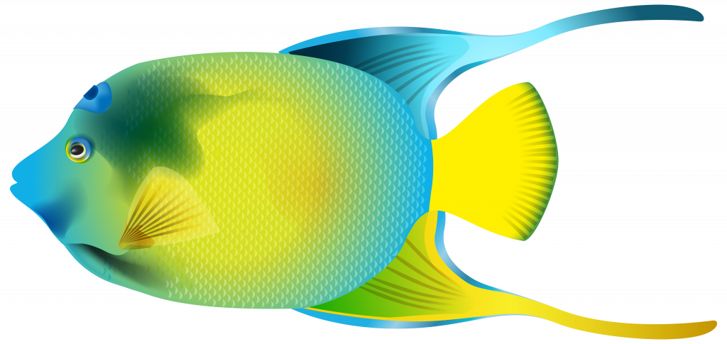 Gallery Image Of Confidential Fish Clip Art For Kids - Angelfish Clipart (1024x485)