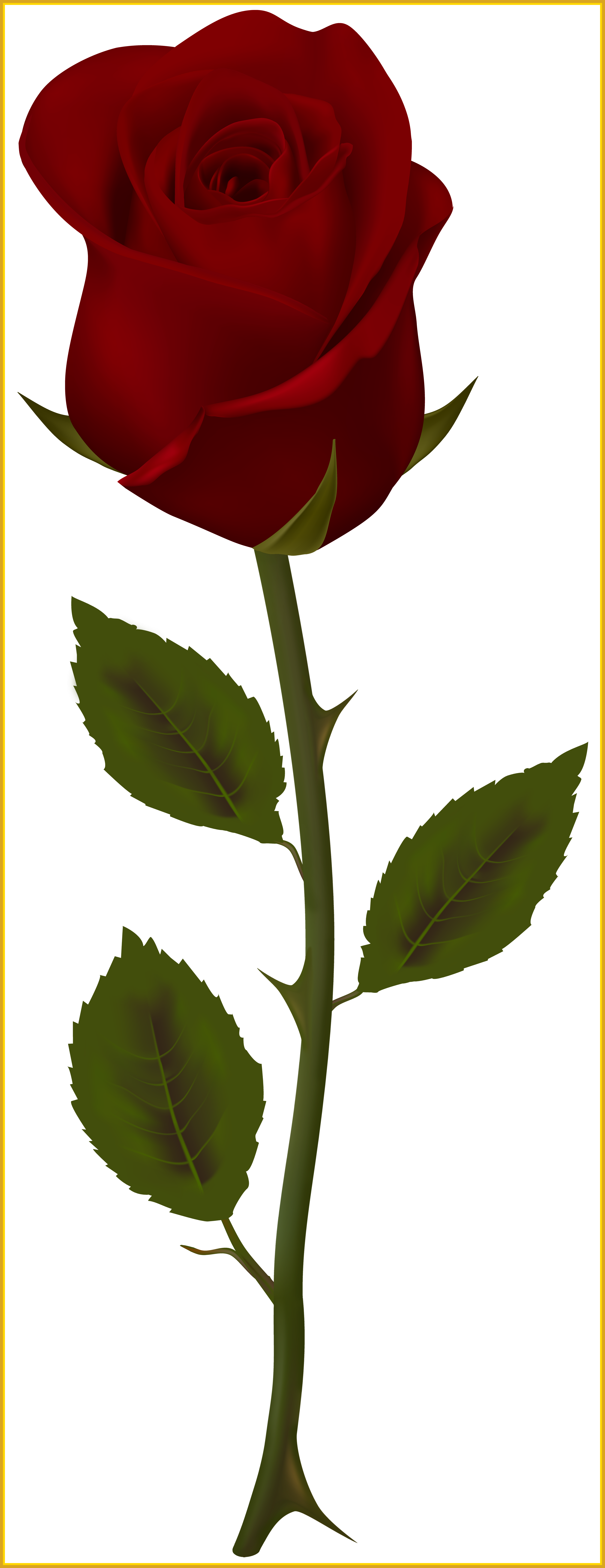 The Best Dark Red Rose Transparent Png Clip Art Gallery - Clip Art (3107x8050)