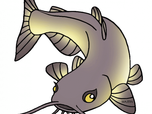 School Fish Cliparts Free Download Clip Art - Catfish Clip Art (640x480)