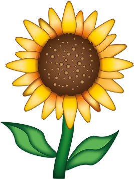 55 Images About Overlays On We Heart It - Official Emoji Happy Summer Hard Back Case (370x370)