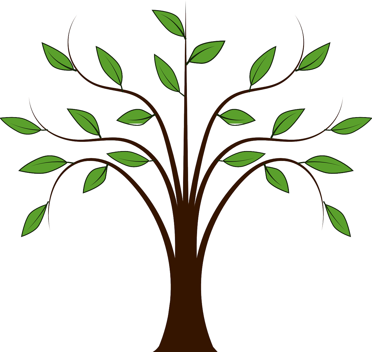 Forest Leaves Nature Plant Png Image - Cartoon Tree With Branches (1280x1214)