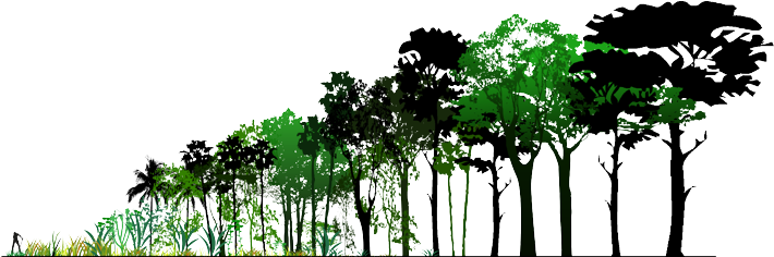Forests - Horizontal Ecological Structures Of British Woodland (715x271)