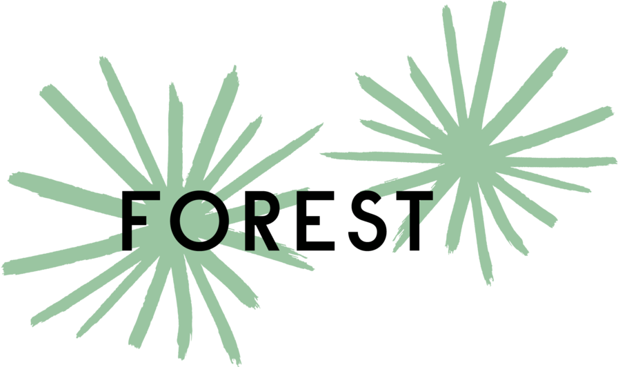 Forest - Product (1024x531)